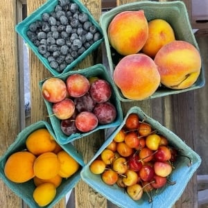 Regional Food Bank