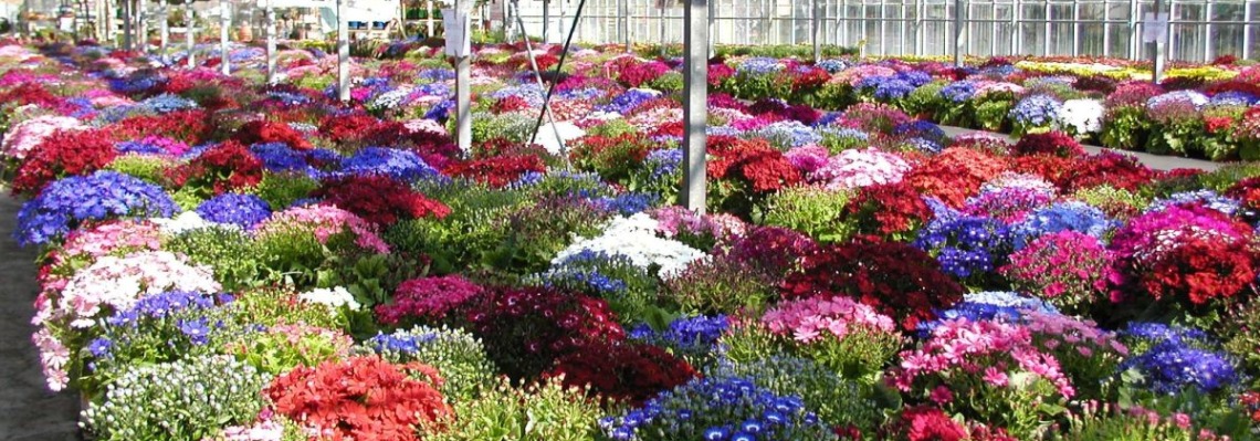 Norwegian Florists Fundraiser